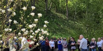 У Кременецькому ботанічному саду відбулася виставка студентських скульптур