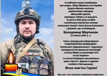 Володимир Мартинюк