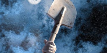 співмешканка