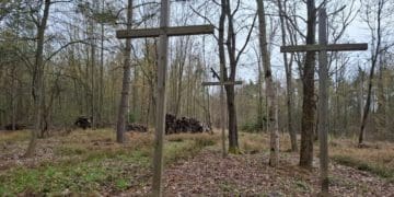 ексгумація в Пужниках