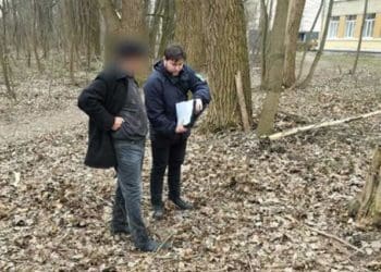 У Тернополі священнику виписали штраф за зрізані 50 дерев біля церкви