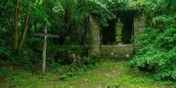 Невеличкий лікбез по селу Пужники та ексгумаціях