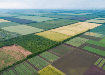 Зеленський підписав скандальний законопроєкт про захист прав добросовісних набувачів