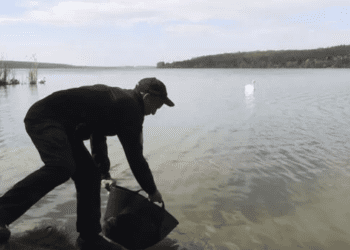 У селі Івачів у місцеву водойму випустили понад 2 тонни риби