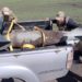 Герої серед нас: Військові з Тернопільщини знешкодили 500-кілограмову авіабомбу