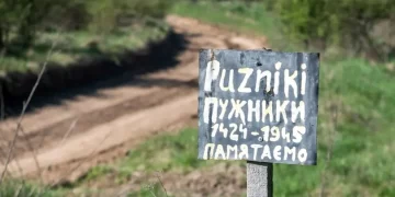 Понад 30 останків та сотні артефактів: у Пужниках на Тернопільщині завершується ексгумація жертв бою 1945 року