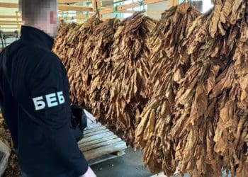 На Тернопільщині викрили нелегальне виробництво тютюну
