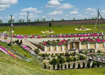 зелену зону