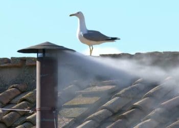 Білий дим у Ватикані