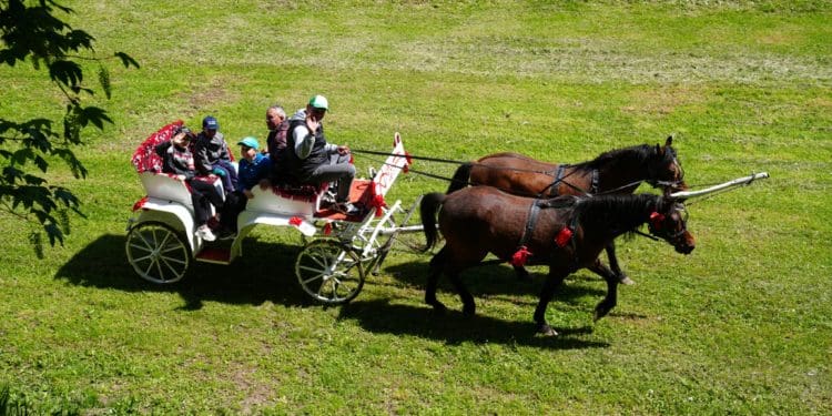 Фестиваль «Мандруємо замками Тернопілля» відкрив туристичний сезон у Збаражі