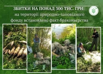 у заказнику