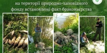 у заказнику