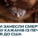 Печери Тернопільщини стали джерелом смертельної хвороби кажанів у США
