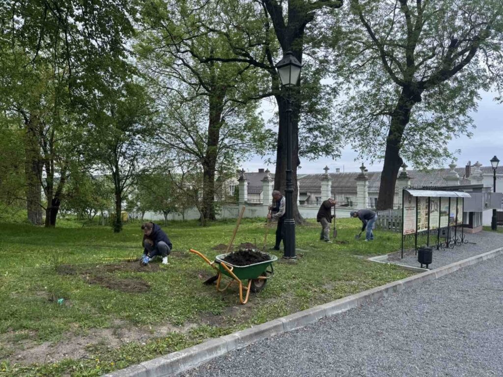 Троянди у Вишнівецькому палаці: нова квіткова оаза в серці Тернопілля