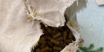 Кілограм пороху та запальна трубка: у жителя Заліщиків вилучили вибухівку