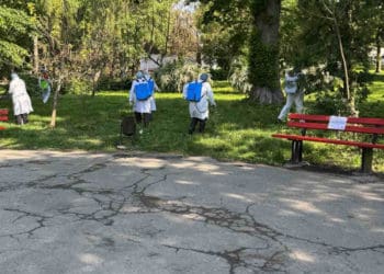 Тернопільський парк обробили від кліщів