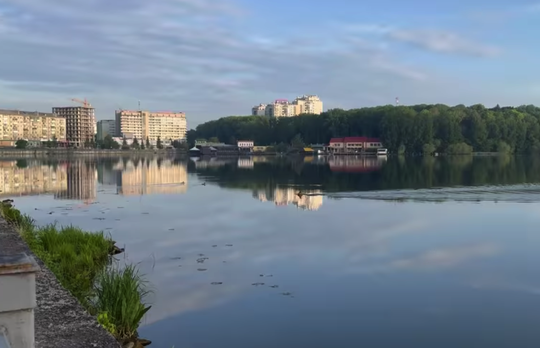 Тернопільські курйози: Олень здійснив на озері в центрі міста ранковий заплив (Відео)