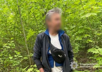 Незаконна вирубка в Парку Здоров’я: тернополянину загрожує до п’яти років в’язниці