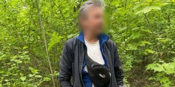 Незаконна вирубка в Парку Здоров’я: тернополянину загрожує до п’яти років в’язниці