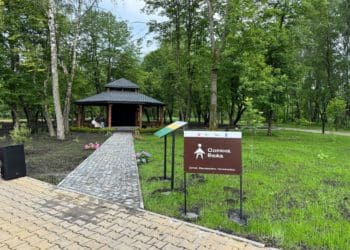 Соляна вежа