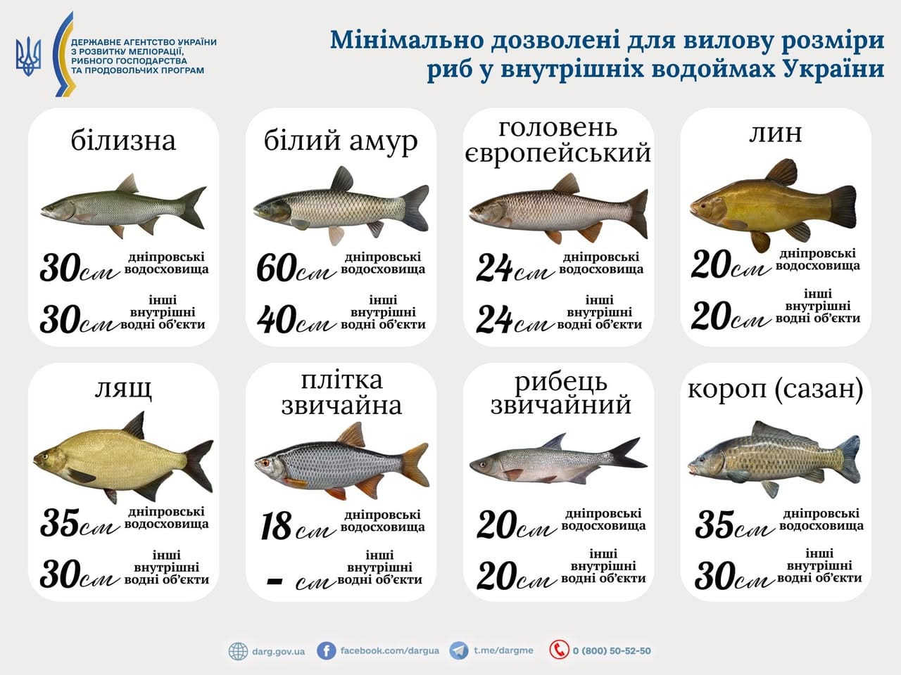 Рибальський сезон 2025: важливі нюанси для безпечного та законного лову