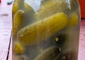 квашені огірки