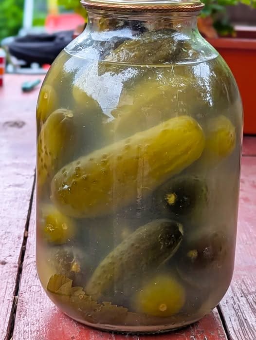 квашені огірки
