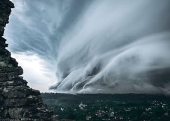 На Тернопільщині пронеслася негода: зірвані дахи, підтоплення і повалені дерева