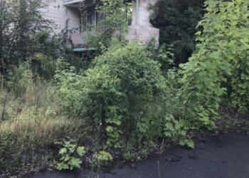 У Струсові на Тернопільщині занепав дитячий табір «Зорепад»