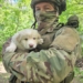 Бойовий пес Полкан і його малюки підтримують захисників із тернопільської 105-ї бригади