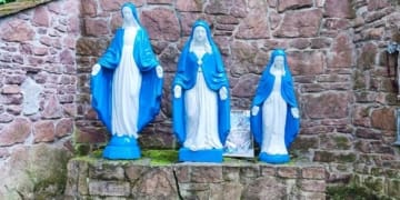 На Тернопільщині облаштували рекреаційну ділянку в урочищі «Пустельня»