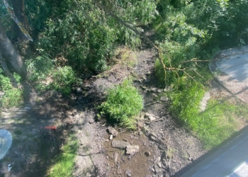 У Бережанах на Тернопільщині пересихає річка Золота Липа: місцеві звинувачують мікроГЕС