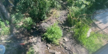 У Бережанах на Тернопільщині пересихає річка Золота Липа: місцеві звинувачують мікроГЕС