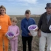 цвіте шафран