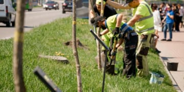 Завдяки благодійній ініціативі “Підтримай ЗСУ – посади іменне дерево” Тернопіль придбав 379 FPV-дронів для ЗСУ