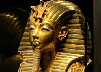 “Прокляття фараонів” виявилось ліками: у гробницях знайшли грибок, що зупиняє рак