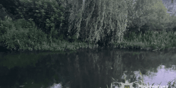 тiло чоловіка