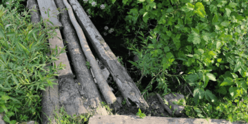 Трагедія на Тернопільщині: пенсіонер загинув у річці Цебрівка