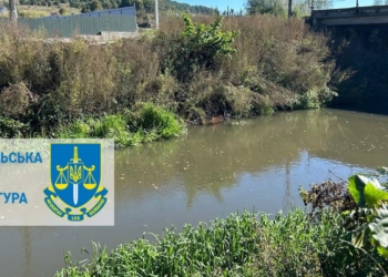 забруднення річки
