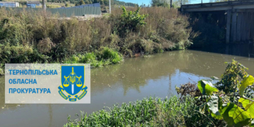 забруднення річки