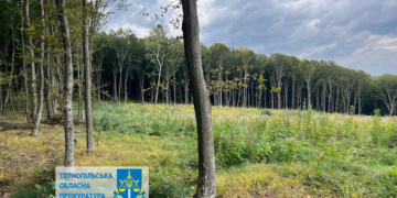 На Тернопільщині судитимуть лісничого та директора за незаконну вирубку дерев на 57 млн грн