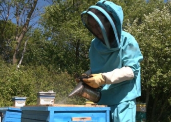 Оксана Пастущин