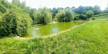 Хлопчика реанімували: на Кременеччині ледь не втопилася трирічна дитина