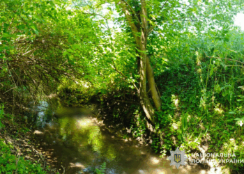 пенсіонера