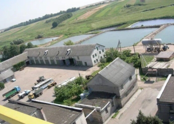 Ковалівський спиртзавод на Тернопільщині чотири роки не платить податків