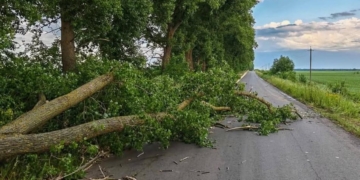 Наслідки грози та шквального вітру на Тернопільщині: офіційно