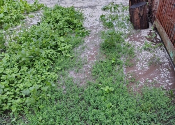 Намул, багнюка і затоплені оселі: на Тернопільщині ліквідовують наслідки негоди