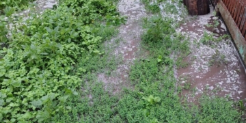 Намул, багнюка і затоплені оселі: на Тернопільщині ліквідовують наслідки негоди