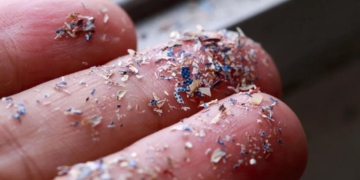 Мікропластик уперше виявили в статевих рідинах чоловіків і жінок