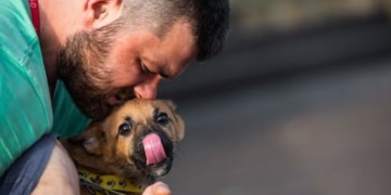 Володимир Тукало